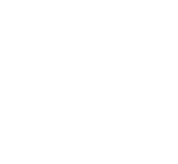PHOENIX SOKEN